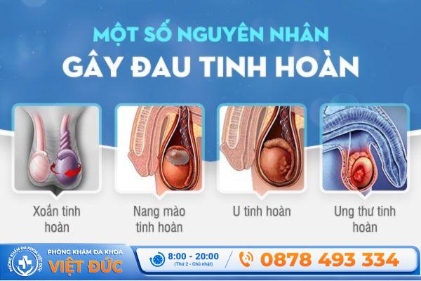 Nguyên nhân gây đau tinh hoàn thường gặp nhiều ở nam giới