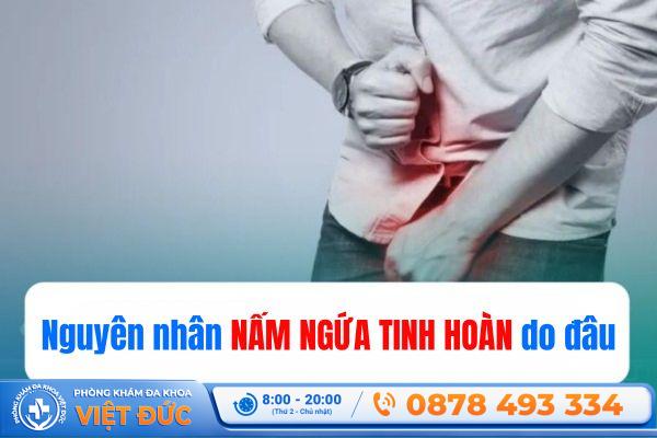 Phòng khám Việt Đức Bắc Ninh 14 Các nguyên nhân gây ra nấm ngứa tinh hoàn