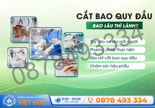 Phòng khám Việt Đức Bắc Ninh 4 Cắt bao quy đầu bao lâu thì lành?