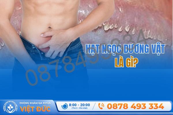 Phòng khám Việt Đức Bắc Ninh 2