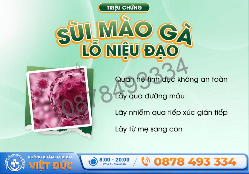 Sùi mào gà - Một trong những bệnh nam giới thường gặp nhất hiện nay